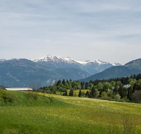 Apartment Edelweiss Casa Cassons Flims