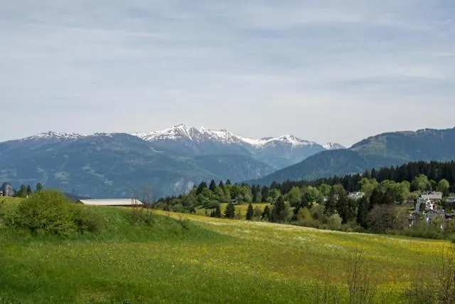 Edelweiss Casa Cassons * Flims